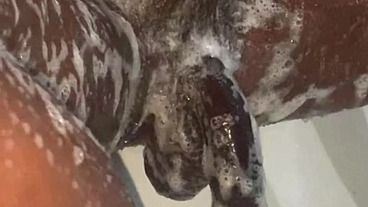 Stilesbhalifa1 manscaping and full shaving shower session