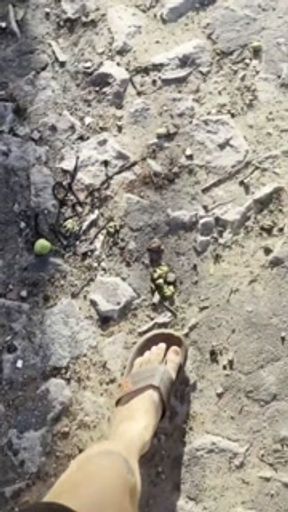 In the lost forest we had sex