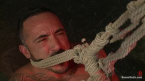 Bound Gods: Damien Stone