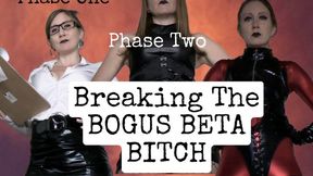 Breaking The Bogus Beta Bitch: Complete Series