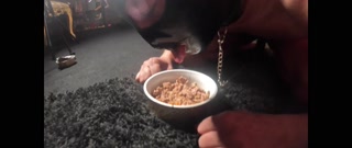 Domina feeds her moth!