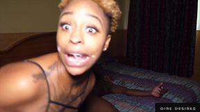 the katt chronicles vol. 2