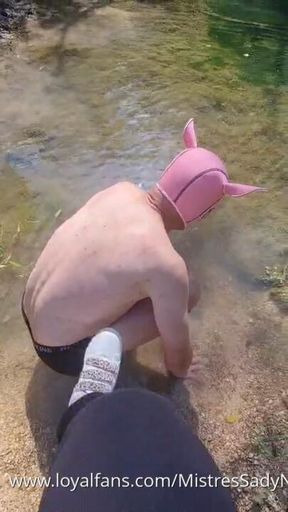 Le petit cochon dans la vase