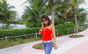 Dollce Delicious