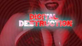 Digital Destruction