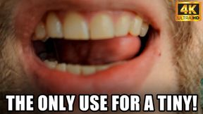 Tinies Are Only Good For One Thing - Vore - 4k UHD 2160p - KingMarti - MOV