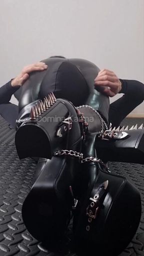 Submission Wrestling