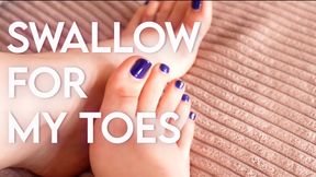 Swallow for my toes