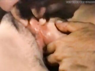 retro large natural boobs rod blow job facial spunk fountain hirsute