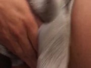 BluGypsyRose masturbation pussy