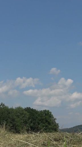 No Panties No Bra Girls Play Volleyball Outdoors in the Wild to show Boobs and Pussy on a Summer Day   Clip 1