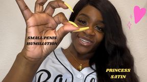 SPH | Small Penis Humiliation