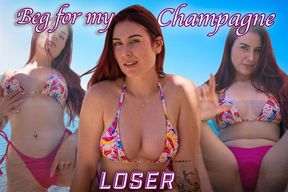 Beg for my Champagne, Loser