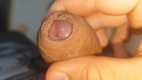 Its Source of Protein Is Already Dawning Like Rock