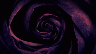 LOVE Thy Goddess (Mind Fuck)- Athena Rose