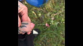 For a Perverse Video of Mine