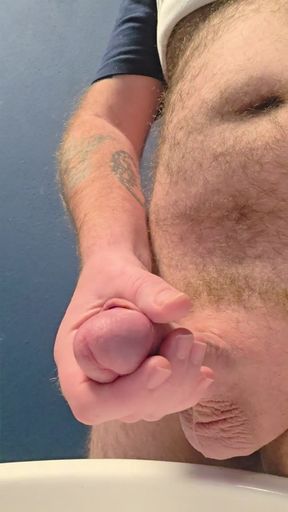 Wanking off in the toilet at work