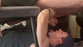 Cock Milking Table Cum Swallow