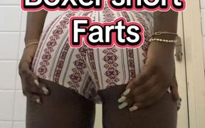 Boxer Short Farts