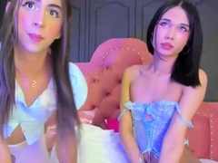 Shemale tranny amateur anally fucked by this lulcky guy