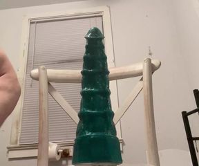 Mr. hanky seahorse