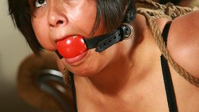 Samantha Milan is a pantyhose clad, Ass Cracked, Humiliated Table Top Housewife! All Binding & Gagging Done On Camera! RE ENCODE 2025