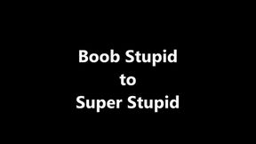 Boob Stupid to Super Stupid XHD (WMV)