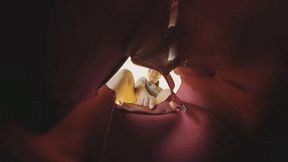 VR360 GAOYU played with the dwarfs in his bag