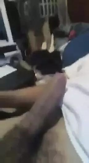 stroking  cock to beautiful queens