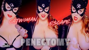 Catwoman Escape Plan: HJ and Penectomy