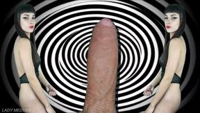 Embrace it, you love cock - encouraged bi, cock worship, mindfuck copy