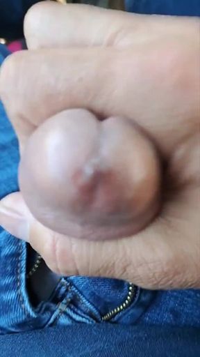 Hlywddawg big cock flashing