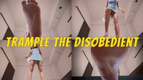 Trample The Disobedient- Ebony Goddess Rosie Reed Foot Fetish Giantess POV Domination- 1080p HD