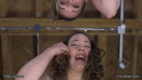 Blowjob buddies bend you over, anal&#x1F44C; invasion, hot lesbian sex party