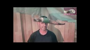 Report of Gresopio's Wife's Horn with the Black
