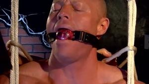 BoundMuscleJocks.com: Beautiful Beau together with Tyler Saint
