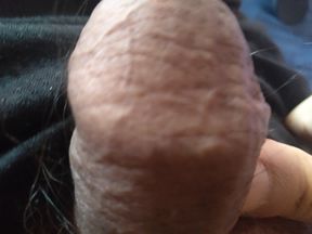huge erect penis in bed