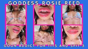 Goon Addict For Tits And Spit 3: Ebony Femdom Goddess Rosie Reed Mind Fucks Your Gooner Brain With Her Pink Glossy Lips And Perky Small Tits With Lots Of Spit Play- 1080p HD