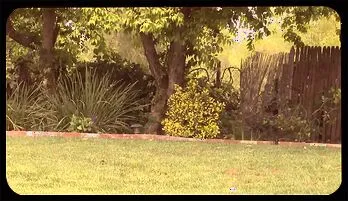 Amber Rayne Gangbang with 8 Dicks - High-Intensity XXX Action video compilation