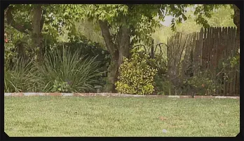 Amber Rayne Gangbang with 8 Dicks - High-Intensity XXX Action