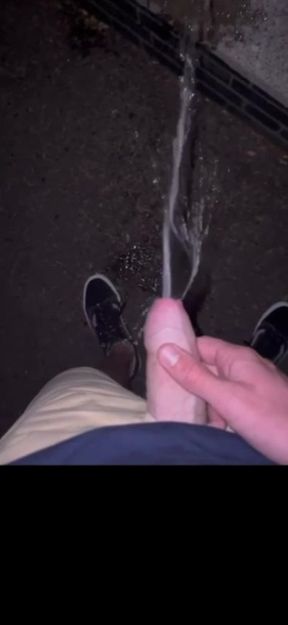 Peeing In Public At Night Compilation