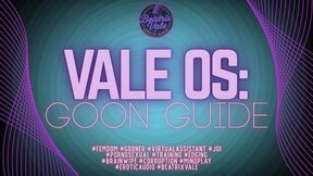 ValeOS: Goon Guide