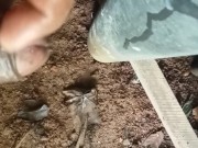In the cum down pipe