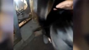 subo a la terraza con un suscriptor y me llena de leche