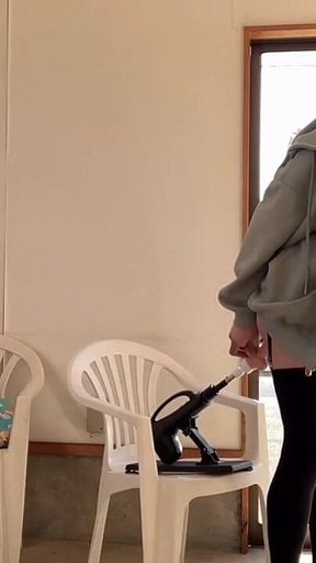 Trainer's Command No. 63: Laundromat Exposure - Round 2