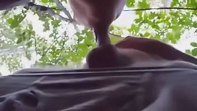 Daddy Bear Sucks in the Park