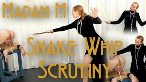 Snake Whip Scrutiny - CBT extreme single tail bondage snake whipping discipline