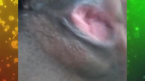 Uncle jeb - a pyt smorgasbord 24!