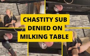 Chastity Sub Denied on Milking Table