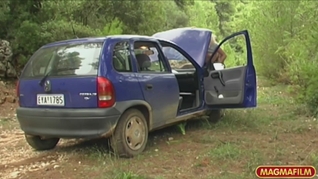 Superb angel gets pounded on the car